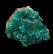 Chip Sized, Emerald-Green Dioptase Cluster - Kazakhstan #34982-1